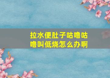 拉水便肚子咕噜咕噜叫低烧怎么办啊