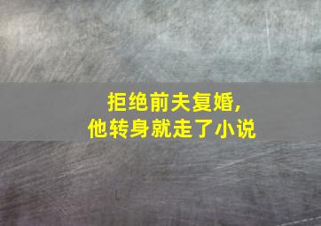 拒绝前夫复婚,他转身就走了小说