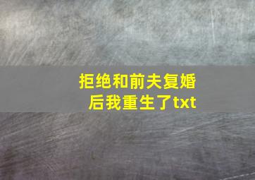 拒绝和前夫复婚后我重生了txt