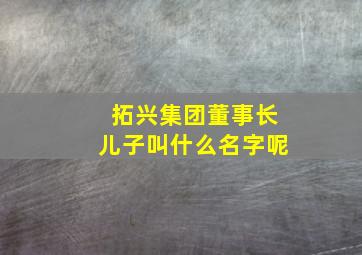 拓兴集团董事长儿子叫什么名字呢