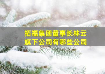 拓福集团董事长林云旗下公司有哪些公司