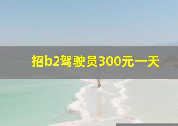 招b2驾驶员300元一天