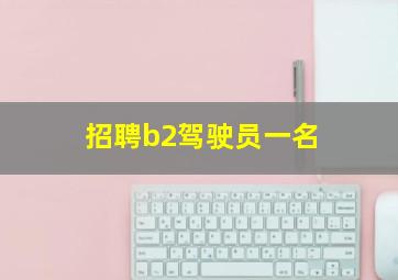 招聘b2驾驶员一名