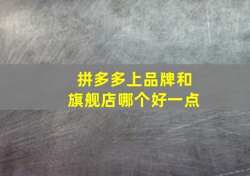 拼多多上品牌和旗舰店哪个好一点