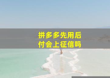 拼多多先用后付会上征信吗