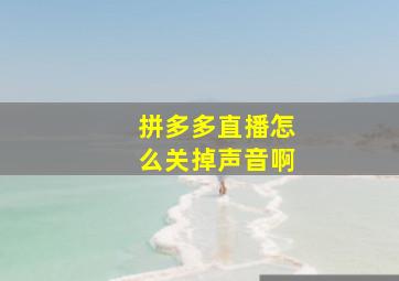 拼多多直播怎么关掉声音啊