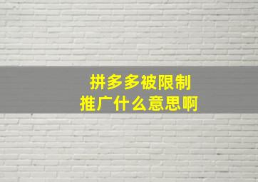 拼多多被限制推广什么意思啊