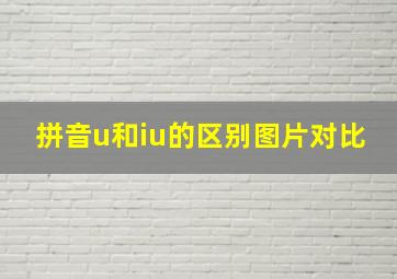 拼音u和iu的区别图片对比