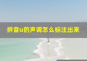 拼音u的声调怎么标注出来