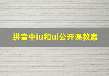 拼音中iu和ui公开课教案