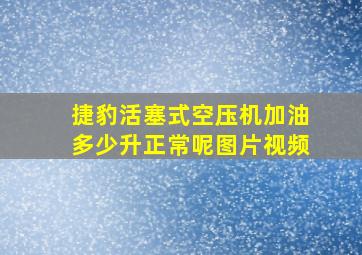 捷豹活塞式空压机加油多少升正常呢图片视频