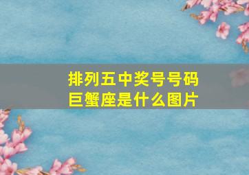 排列五中奖号号码巨蟹座是什么图片