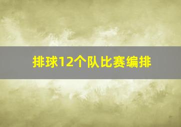 排球12个队比赛编排