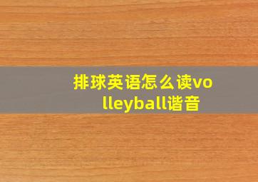 排球英语怎么读volleyball谐音