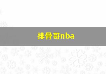 排骨哥nba