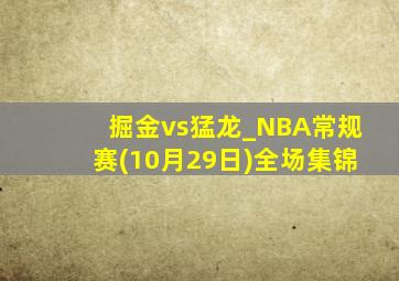 掘金vs猛龙_NBA常规赛(10月29日)全场集锦