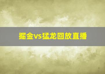 掘金vs猛龙回放直播