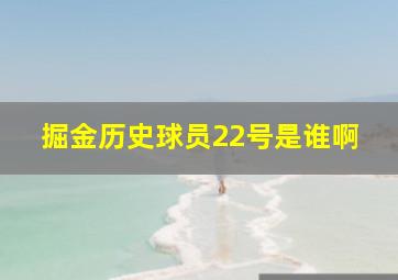 掘金历史球员22号是谁啊