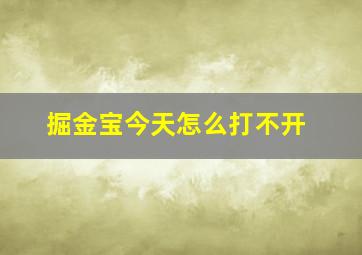 掘金宝今天怎么打不开