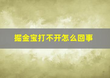 掘金宝打不开怎么回事