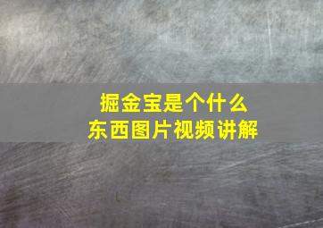 掘金宝是个什么东西图片视频讲解