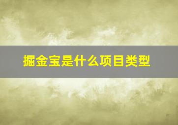 掘金宝是什么项目类型