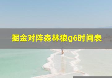 掘金对阵森林狼g6时间表