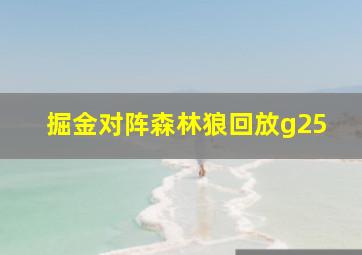 掘金对阵森林狼回放g25