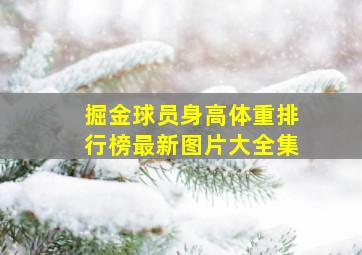 掘金球员身高体重排行榜最新图片大全集