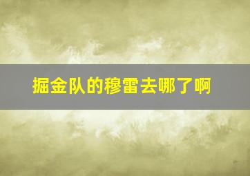 掘金队的穆雷去哪了啊