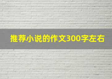 推荐小说的作文300字左右