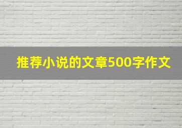 推荐小说的文章500字作文