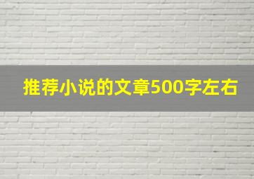 推荐小说的文章500字左右