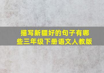 描写新疆好的句子有哪些三年级下册语文人教版