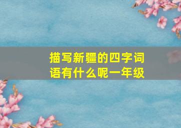 描写新疆的四字词语有什么呢一年级