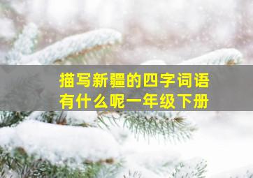 描写新疆的四字词语有什么呢一年级下册