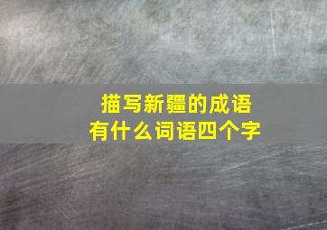 描写新疆的成语有什么词语四个字