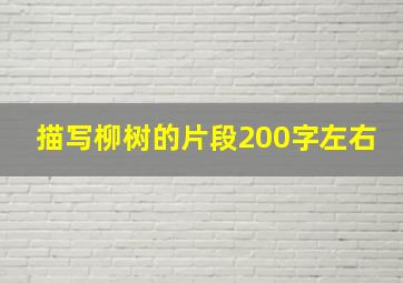 描写柳树的片段200字左右