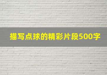 描写点球的精彩片段500字