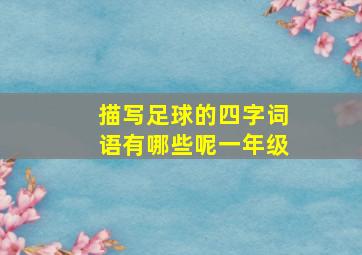 描写足球的四字词语有哪些呢一年级