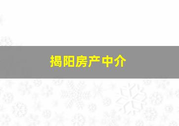 揭阳房产中介