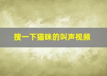 搜一下猫咪的叫声视频