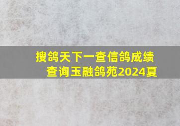 搜鸽天下一查信鸽成绩查询玉融鸽苑2024夏