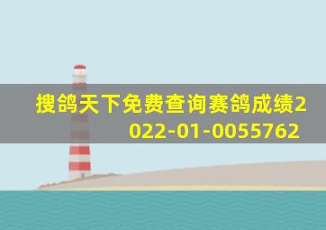 搜鸽天下免费查询赛鸽成绩2022-01-0055762