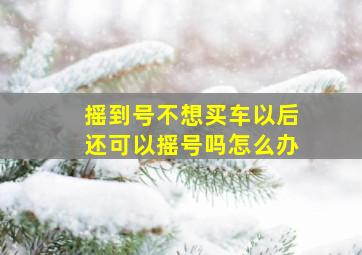 摇到号不想买车以后还可以摇号吗怎么办