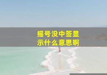 摇号没中签显示什么意思啊