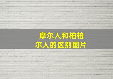 摩尔人和柏柏尔人的区别图片