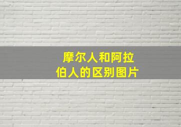 摩尔人和阿拉伯人的区别图片