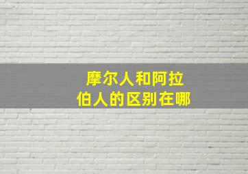 摩尔人和阿拉伯人的区别在哪