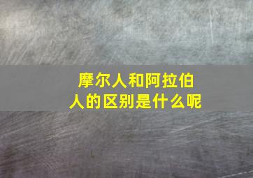 摩尔人和阿拉伯人的区别是什么呢